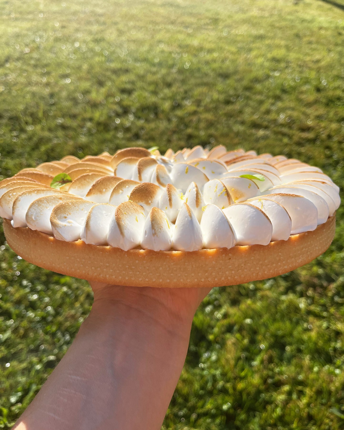 Tarte au citron meringuée