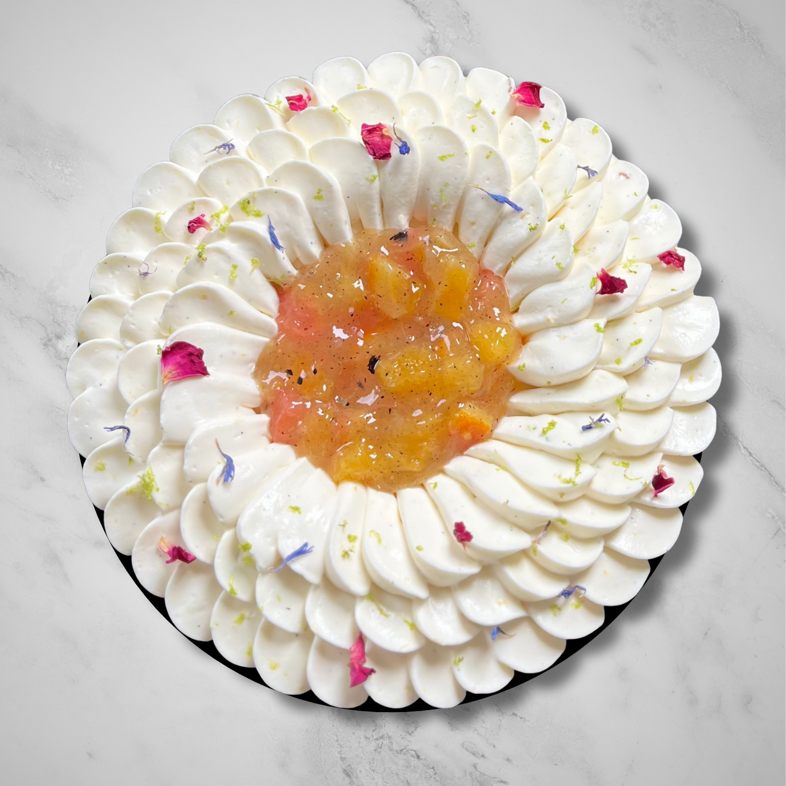 Entremets Agrumes – fraîcheur acidulée et élégance gourmande